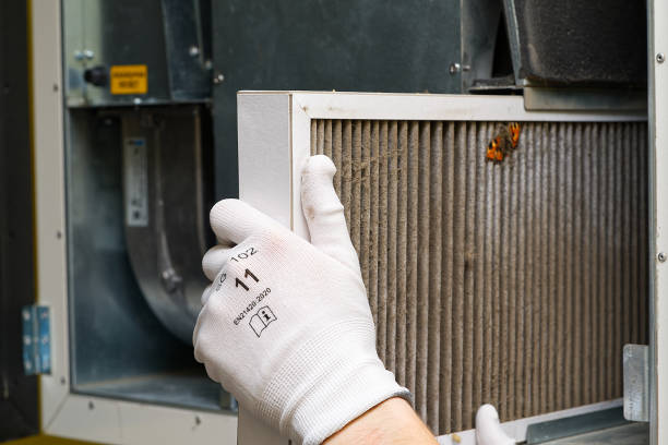 Best Affordable Duct Cleaning Services  in Carthage, IL