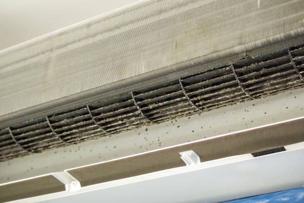 Best Commercial HVAC Duct Cleaning  in Carthage, IL